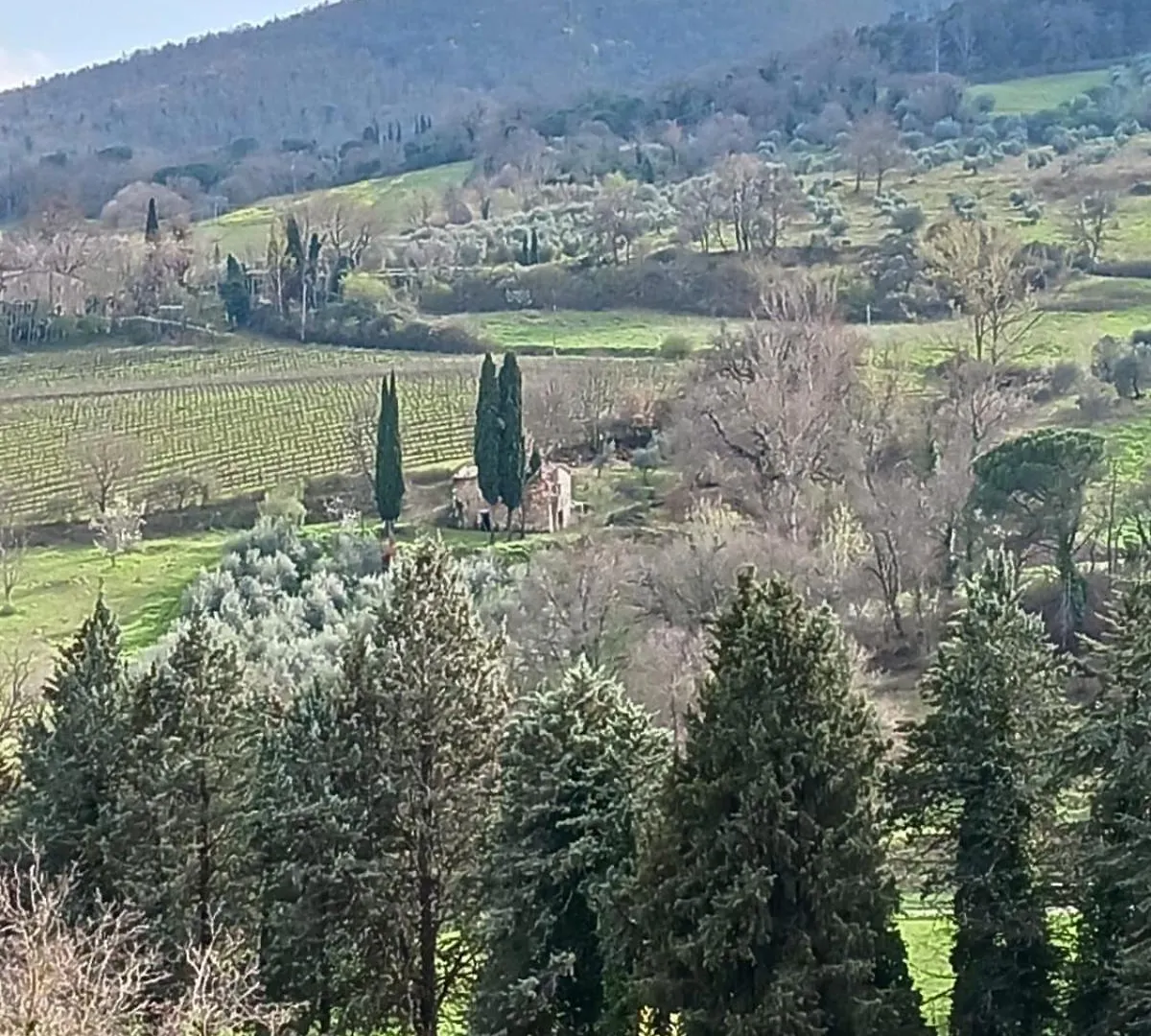 Civico68 Villa Le Piazze 0*,  Italy